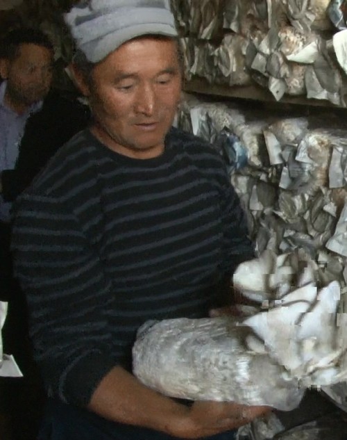 Нуржанов Самат