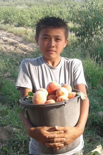 Исанов Байсал